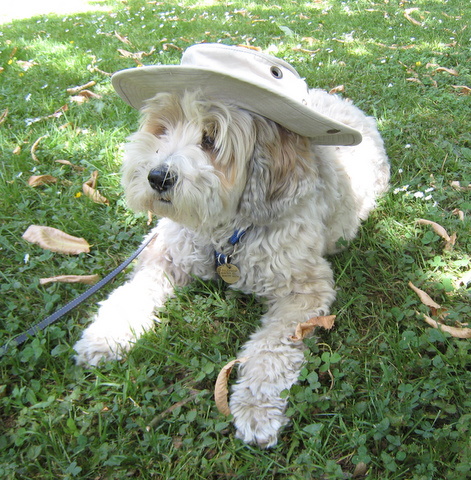 Tilly in a Tilly